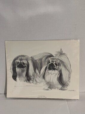 Dog Print Art Print Charcoal Drawing by Gary H. Kokes 11in x 14in